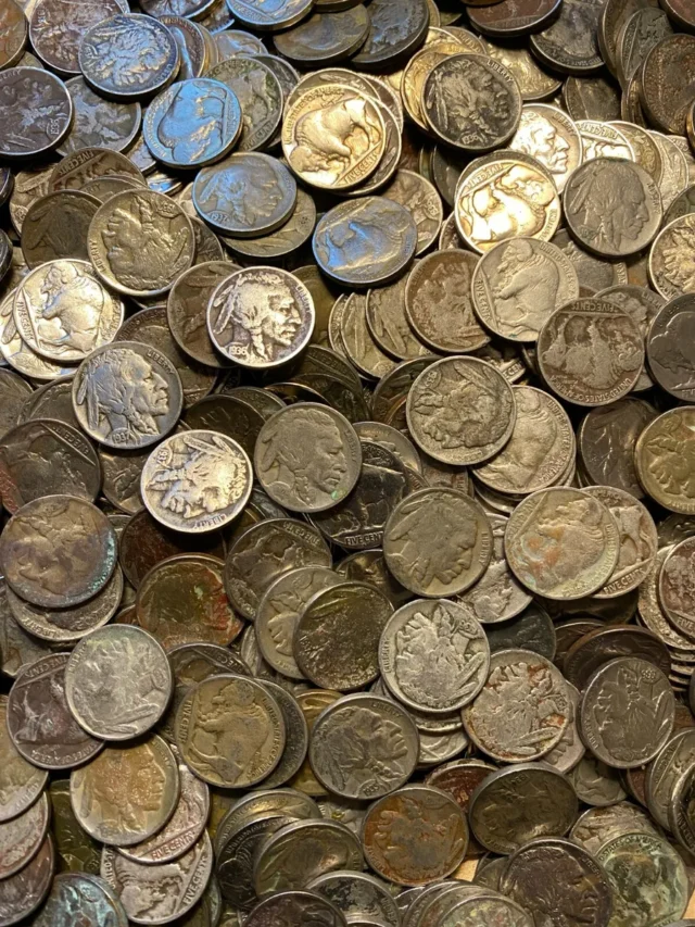 Top 8 Rarest Buffalo Nickels Ever Made